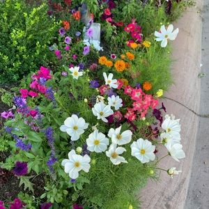 Meet your Posher, Lexi